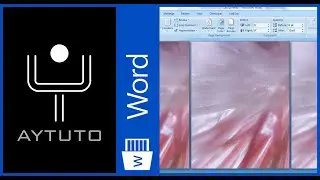 Cambiar el color de fondo en WORD
