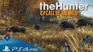 TheHunter: Call of the Wild PS4 🇩🇪 Wildschweine jagen - Let´s Play Deutsch