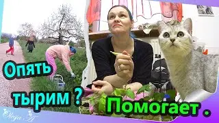 Влог/ Приехали за веточками/ Уборка у листочков.