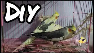 | Bird Bridge Diy | Easy DIY|