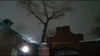 Под корочкой наста. Инна Гильченко.
