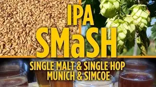 SMaSH IPA Munich Simcoe