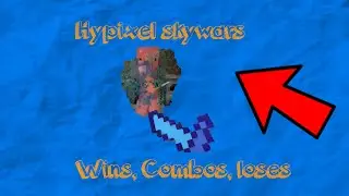 Hypixel Skywars Wins, Combos, loses