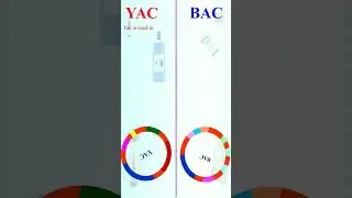 Difference between YAC and BAC vectors