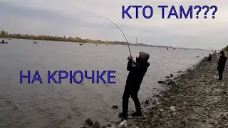 Сход крупной рыбы | Разогнул крючок | Неудачи на рыбалке