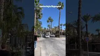 Espagne : Ah, le soleil, les palmiers et la mer! 😎🏝️☀️#españa #torrevieja #plage #soleil #vacency