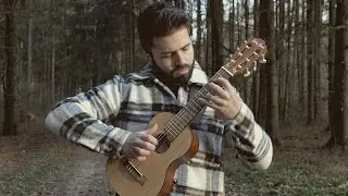 Scar Tissue (Red Hot Chili Peppers) on Guitarlele - Luca Stricagnoli