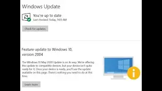 Do not install 2004 Feature Update, yet