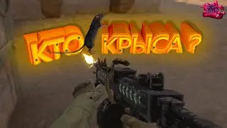 КТО КРЫСА? (CS GO\CS2)