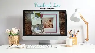 Nataure's Sweetness Cards and a Wedding Scrapbook Layout