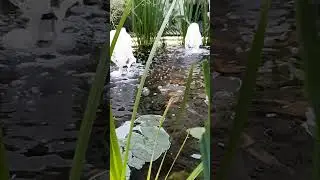 Релакс у стен Кремля