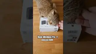 Rode Wireless Pro 🎙️: Unboxing ASMR 