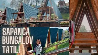 SAPANCA BUNGALOV EVLERİ ⛺️ BUNGALOV ÖNERİSİ 🏡