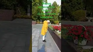 9 мая 2024 г.
