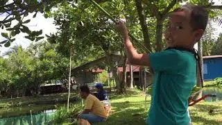 Mancing ikan nila