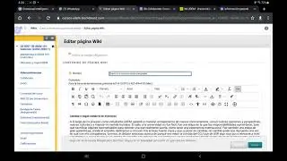¿Cómo usar wiki?