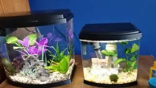 Top fin imagine 5 vs 2.5