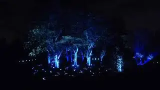 Illumination 2021