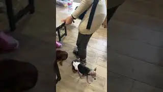 К нам приехала Юля Бабкина 🤗