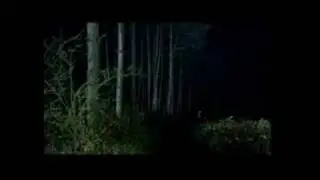 колдовская любовь серия 62-часть 5/5
