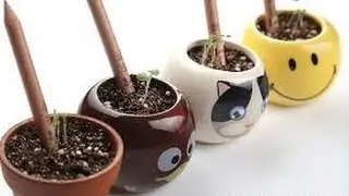 What If Pencils Could Grow?