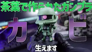 【ガンプラレビュー】またバンダイが変な事してる…お茶の匂いがするガンプラ！ザクプラくんをレビューしてみた！