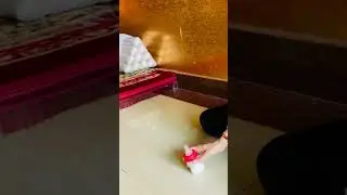 Cute #monkey #baby #shortvideo #love #cute