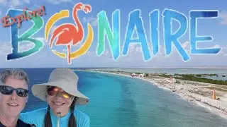 Exploring Bonaire: Beyond the Reefs and Beaches