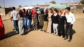 Derik// dumanlı köyü düğünü