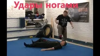 Удары ногами: жур,лягок,брык,бок,топорик