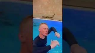 ДЮШЕС НА МАКСУТУ НАПАЛА ЗМЕЯ 