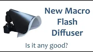 New homemade flash diffuser for insect macro photography - is it any good?