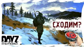 СХОДИМ? - DayZ НЕУДЕРЖИМЫЕ ✌ МУЗЛОСТРИМ патч 1.25