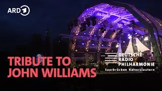 Tribute to John Williams | Pietari Inkinen | DRP