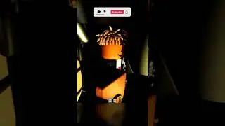 DISCORD SERVER PLAYS ROBLOX HORROR GAME