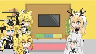 Kazimierz Knights reacts to ??? pt 1