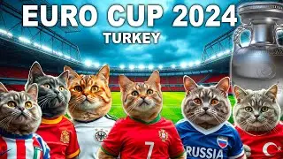 CAT KITTENS PLAYING FOOTBALL - EURO 2024 PREVIEW [CAT SOCCER]