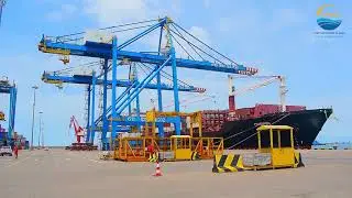 Elevating the Port of Kribi Experience: Our Institutional Videos