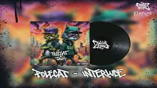 6 - POLECAT - Interlude  ( Prod. JAUH )