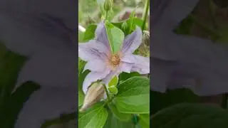 До свидания теплый и не предсказуемый май! Здравствуй ЛЕТО!!!🌹❤
