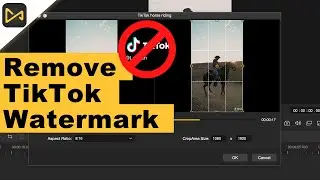 How to Completely Remove the Tiktok Watermark from Video Tutorial | 2 Easy Methods#tiktok