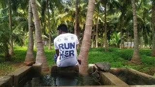 A typical day at my village 😍❤‍🔥| Karur | Well swimming