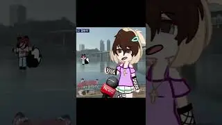котик ходит по реке 