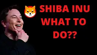 SHIBA INU - WHAT TO DO RIGHT NOW?! SHIBA INU COIN HOLDERS PLEASE WATCH!