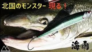 モンスター降臨！自作シンペンを海に放り込んだらとんでもないサイズの海アメが出た!
