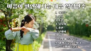 [Playlist] 마음이 편안해지는 대금 힐링 연주☁숲 속 휴식음악,스트레스 해소음악,명상음악