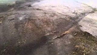 20150614 195520
