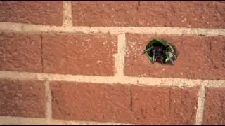 Spider Vfx p.2
