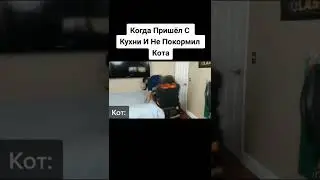 когда пришол домой и не покормил кота#кот#мем