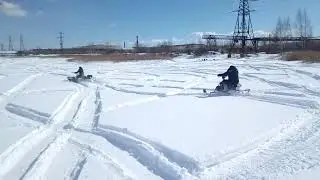 "Лидер" 24 кобылы...и не только .